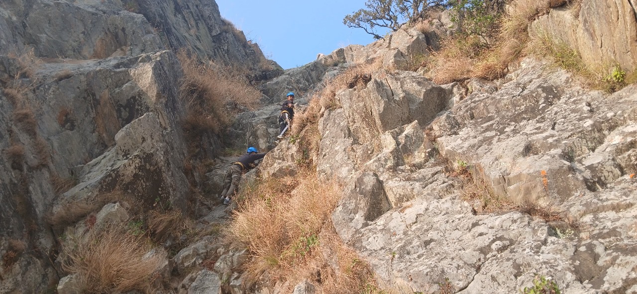 82d19dec 1abd 429f babd 1e5cb76f7ace